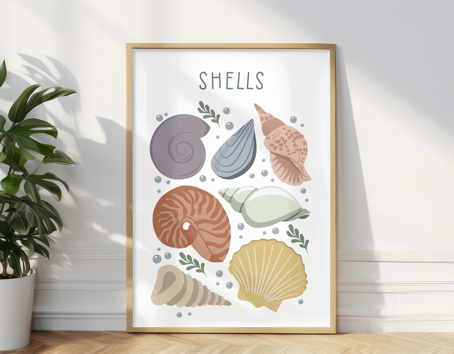 Seashells Illustration Print