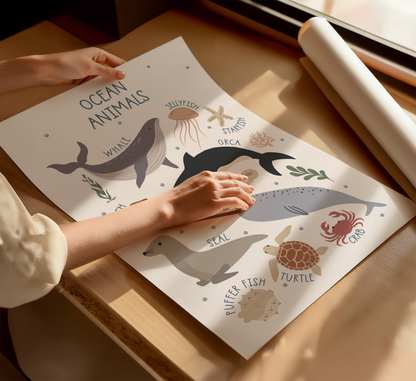Ocean Animals Educational Print