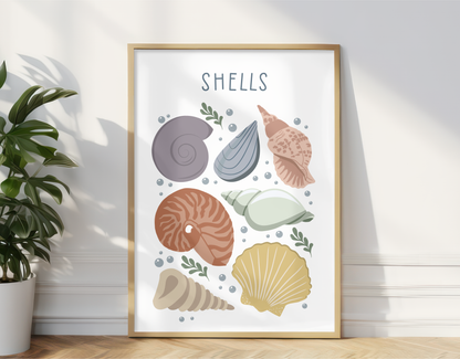 Seashells Illustration Print