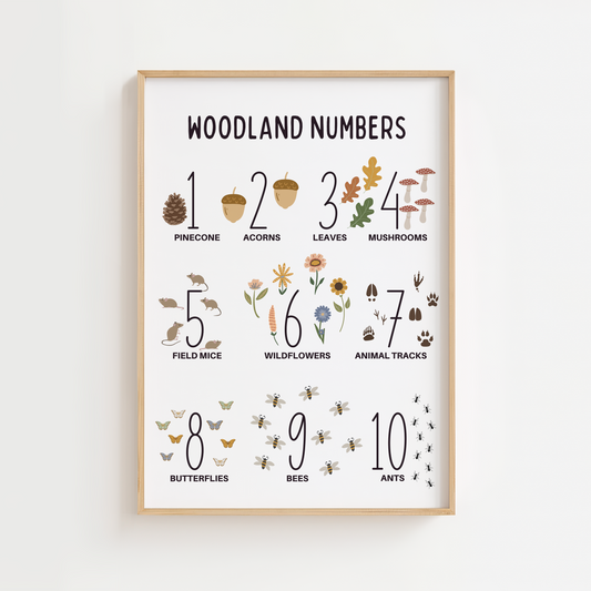 Woodland Numbers Educational Print - White