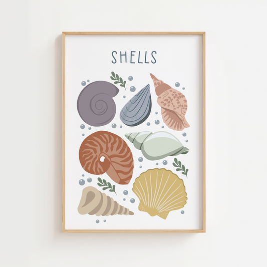 Seashells Illustration Print