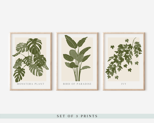 Set Of 3 Botanical Prints