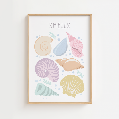 Seashells Illustration Print - Pastel