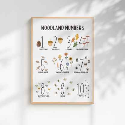Woodland Numbers Educational Print - White