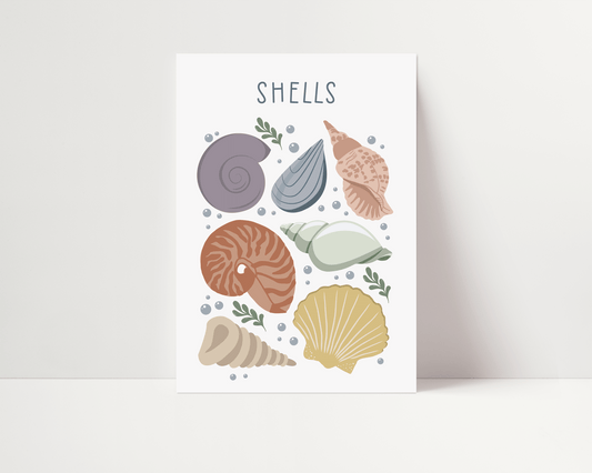Educational Ocean Shells Print - Classic