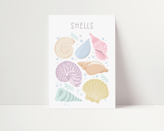 Educational Ocean Shells Print - Pastel
