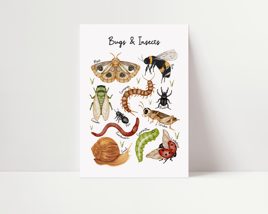 Watercolour Bugs & Insects Art Print