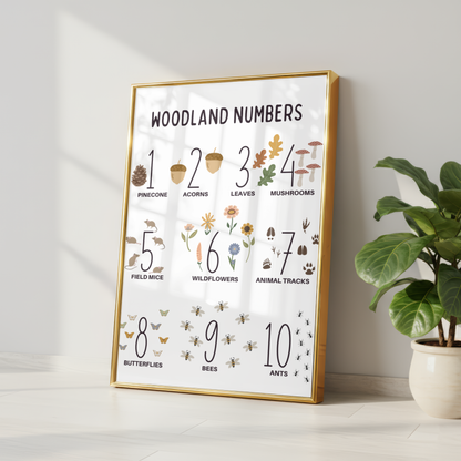 Woodland Numbers Educational Print - White